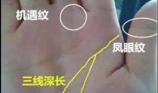 无名指比食指长代表什么 无名指比食指长代表什么